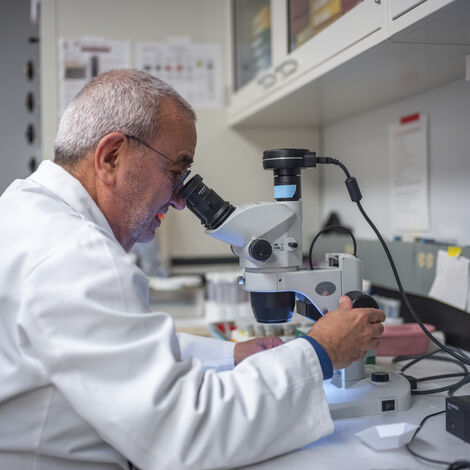 Inside the Awad Lab 